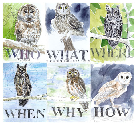 jenny robins - amelia's magazine - windsor2 - owls
