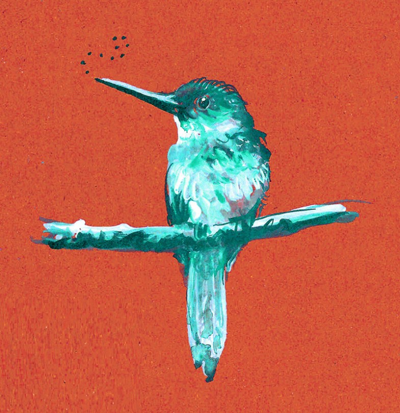 jenny robins - bird - jacamar red and blue