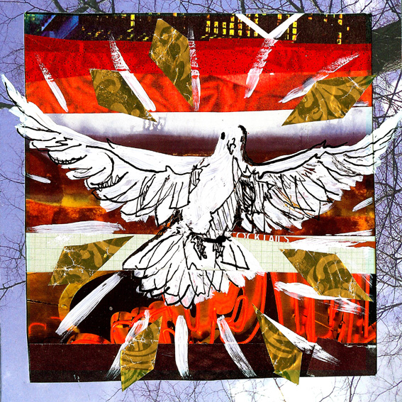 jenny robins christmas dove