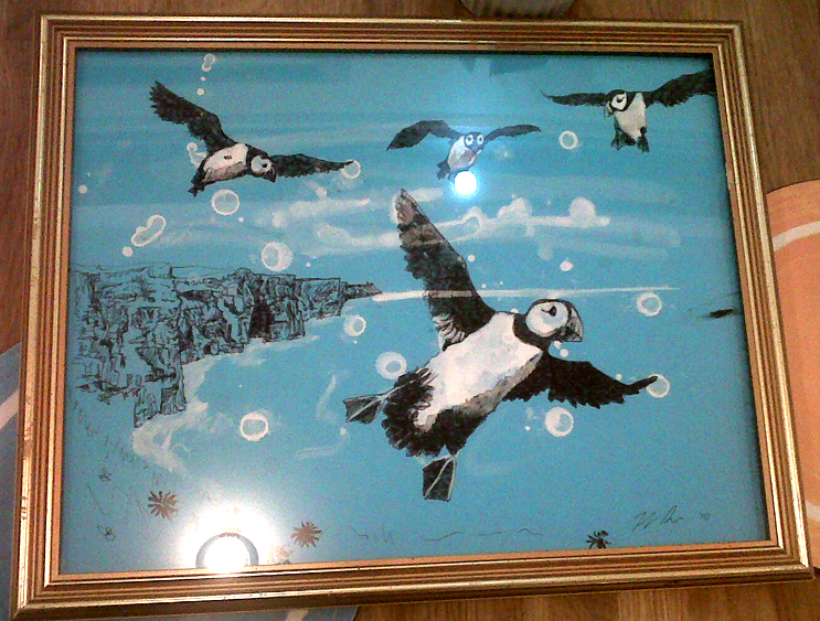 jenny robins - puffins