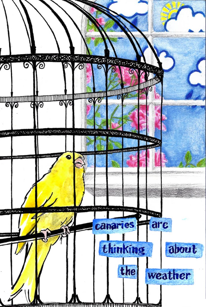 jenny robins - what birds are really thinking - canary - weather