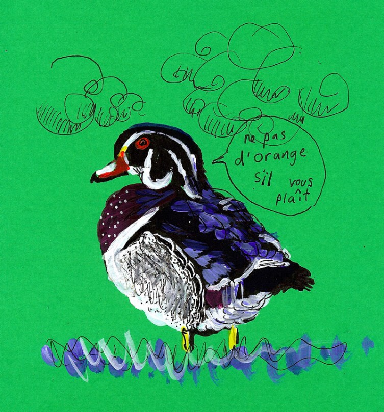 jenny robins - wood duck